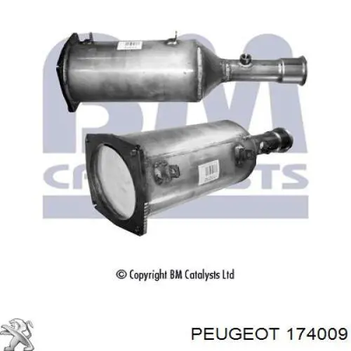 Catalizador (pieza de recambio) Peugeot/Citroen 1731Y3 precio, desde 877,16 EUR