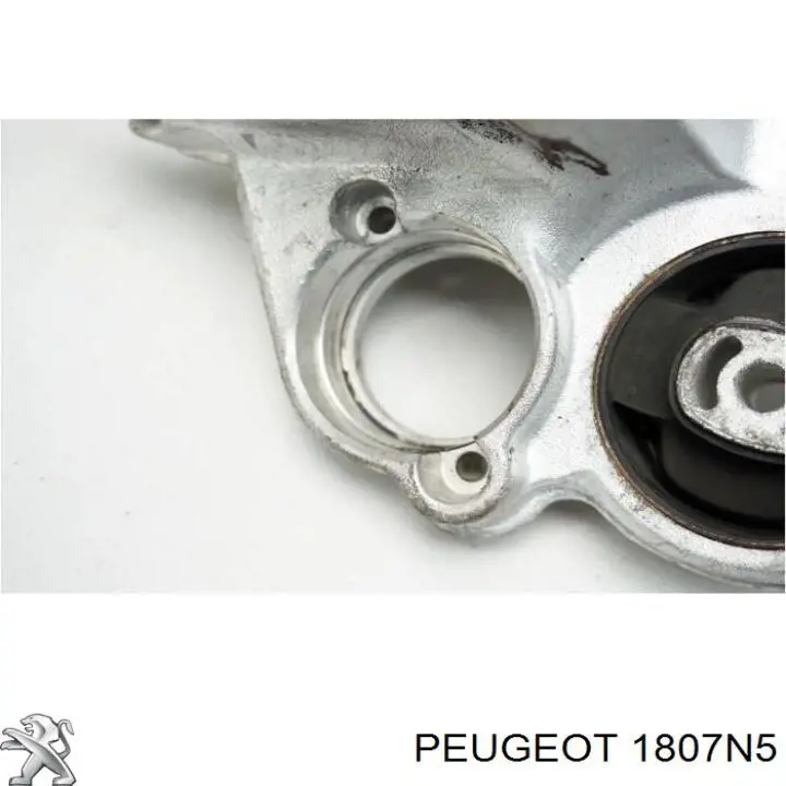 00001807N5 Peugeot/Citroen Taco de motor