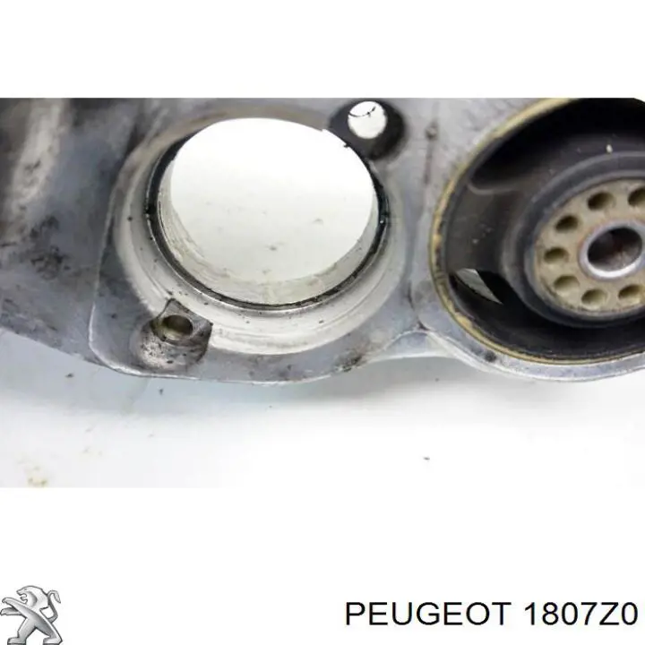 Soportes de motor trasero Peugeot/Citroen 1807Z0 precio, desde 4,92 EUR
