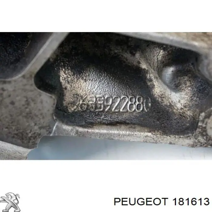 181613 Peugeot/Citroen soporte, motor, trasero, derecho