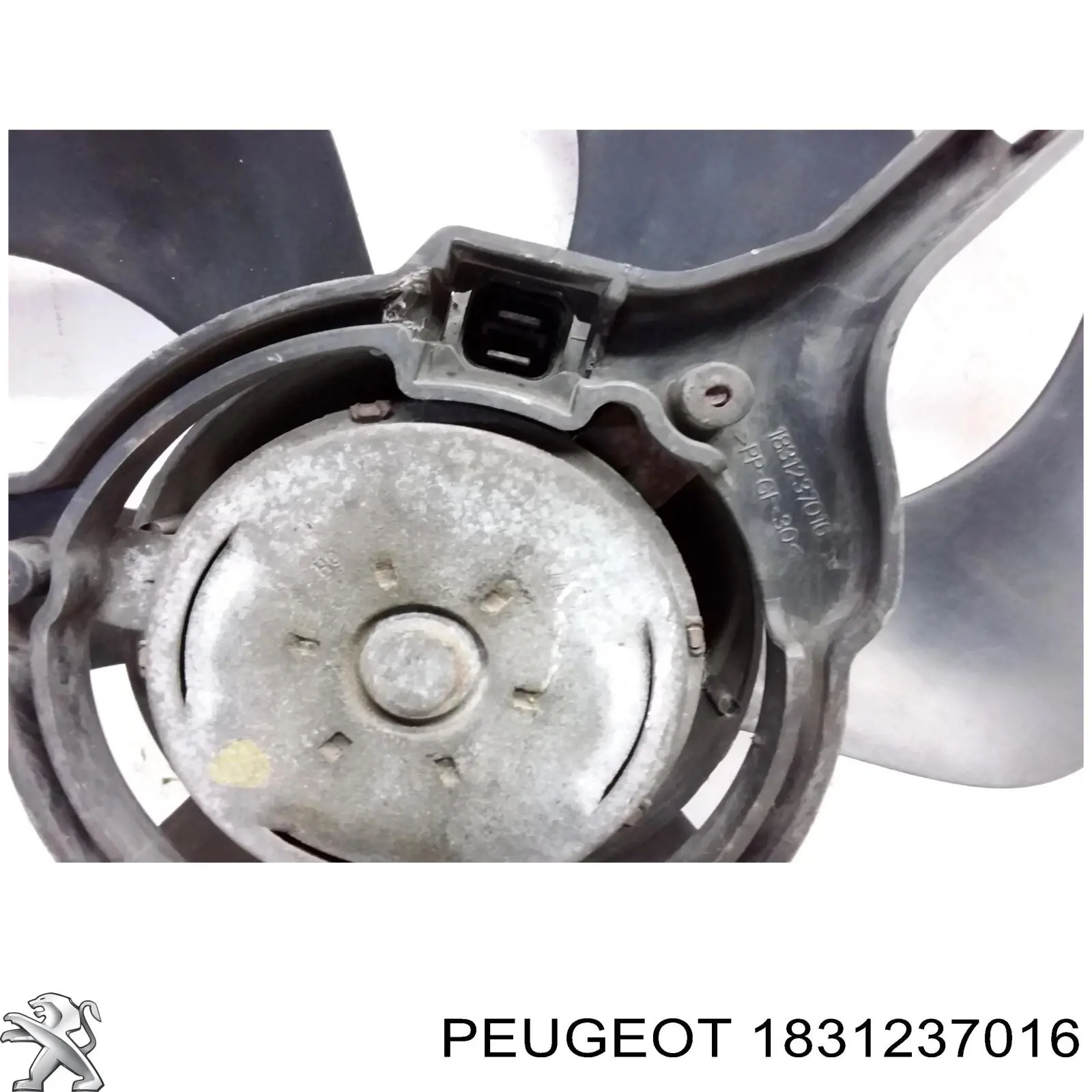 1831237016 Peugeot/Citroen