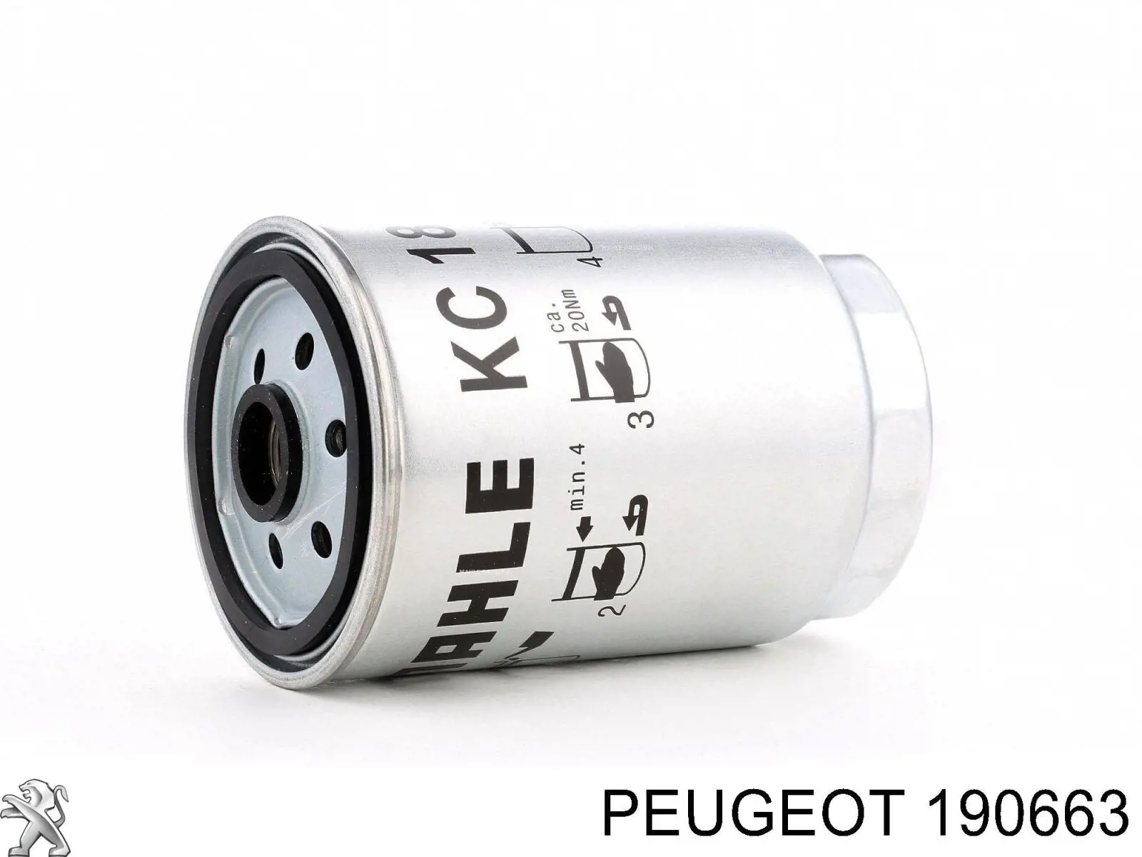 190663 Peugeot/Citroen filtro de combustible
