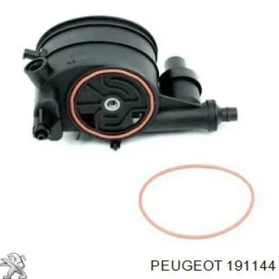 Caja filtros de combustible Peugeot/Citroen 191144