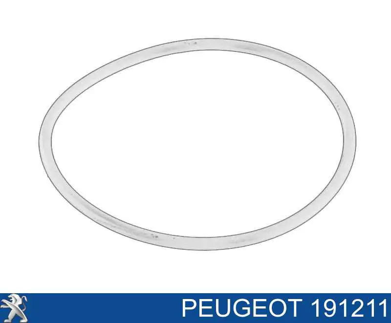 Junta de la carcasa del filtro de combustible para Peugeot 406 (8B)