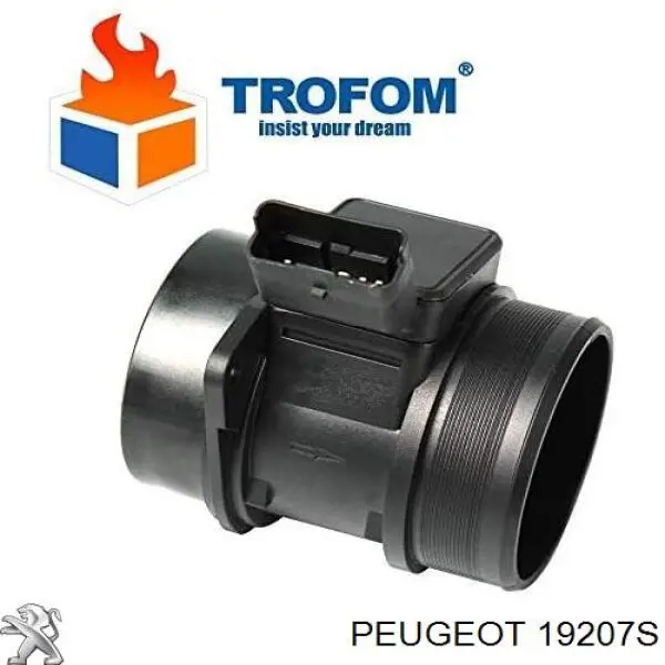 Sensor MAF Peugeot/Citroen 19207S