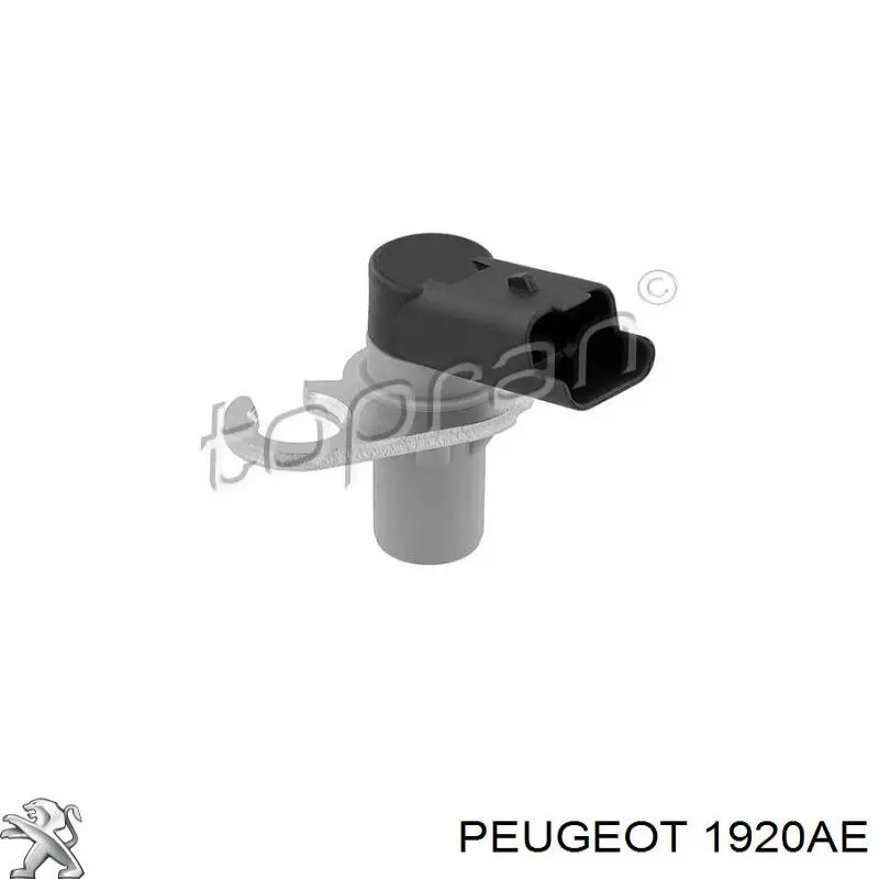 Sensor de levas Peugeot/Citroen 1920AE