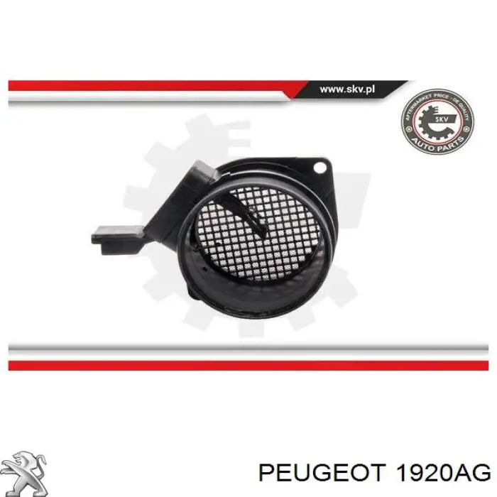 Comprar 1920AG Peugeot/Citroen Sensor de masa de aire