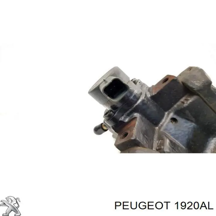 1920AL Peugeot/Citroen Bomba de inyección
