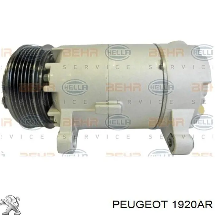 1920AR Peugeot/Citroen Bomba de inyección