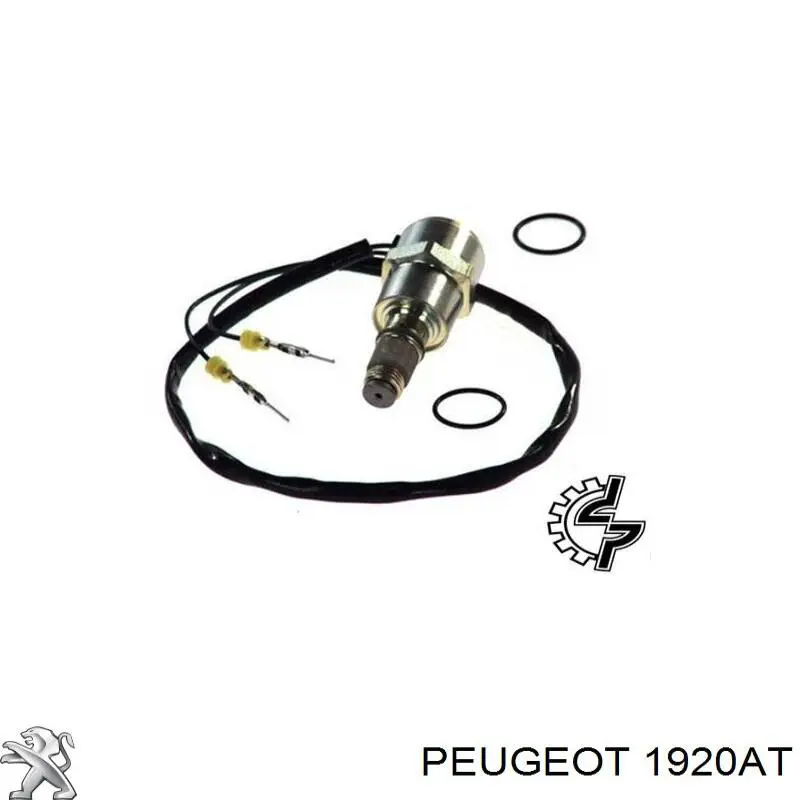 1920EV Peugeot/Citroen bomba inyectora