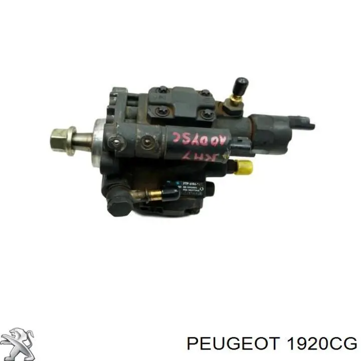 Comprar 1920CG Peugeot/Citroen Bomba inyectora