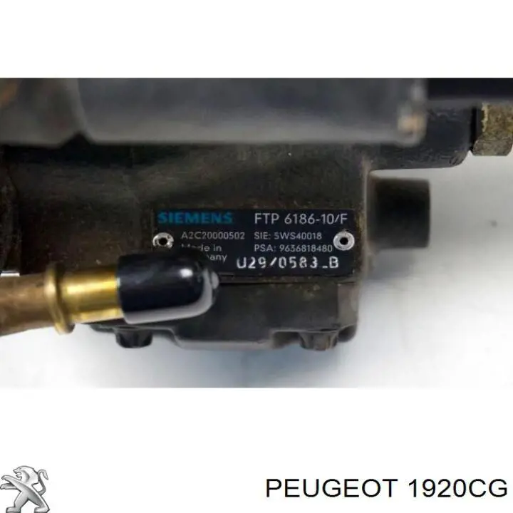1920CG Peugeot/Citroen bomba inyectora