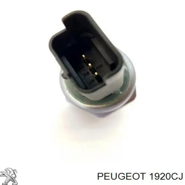 1920CJ Peugeot/Citroen sensor de presión de combustible