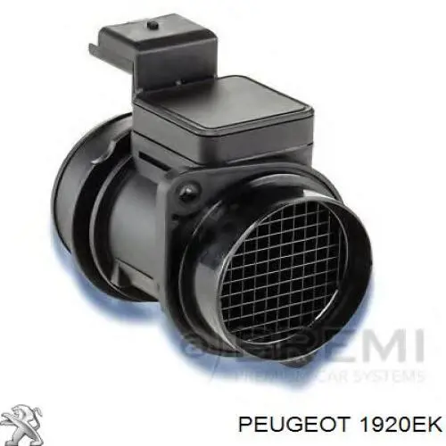 Comprar 1920EK Peugeot/Citroen Sensor de masa de aire