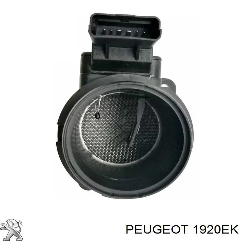 Caudalímetro 1920EK Peugeot/Citroen