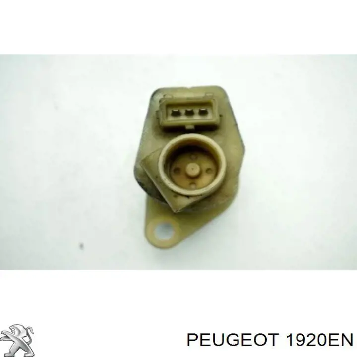 Sensor de cigüeñal 1920EN Peugeot/Citroen