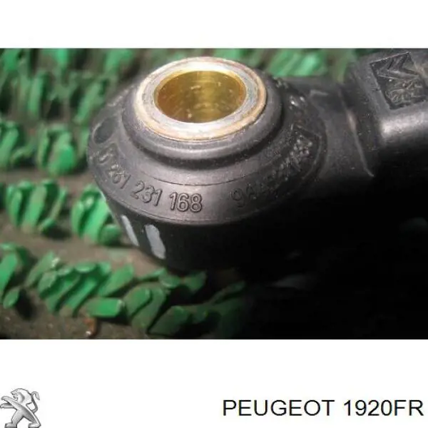 Sensor de detonaciones Peugeot 208 CA, CC