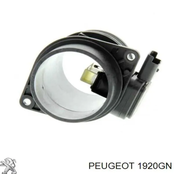 Medidor de flujo de aire Peugeot/Citroen 1920GN precio, desde 41,06 EUR
