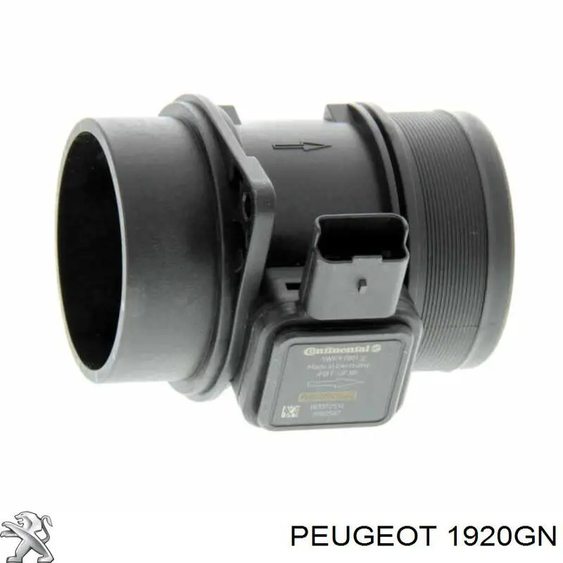 Comprar 1920GN Peugeot/Citroen Sensor de masa de aire