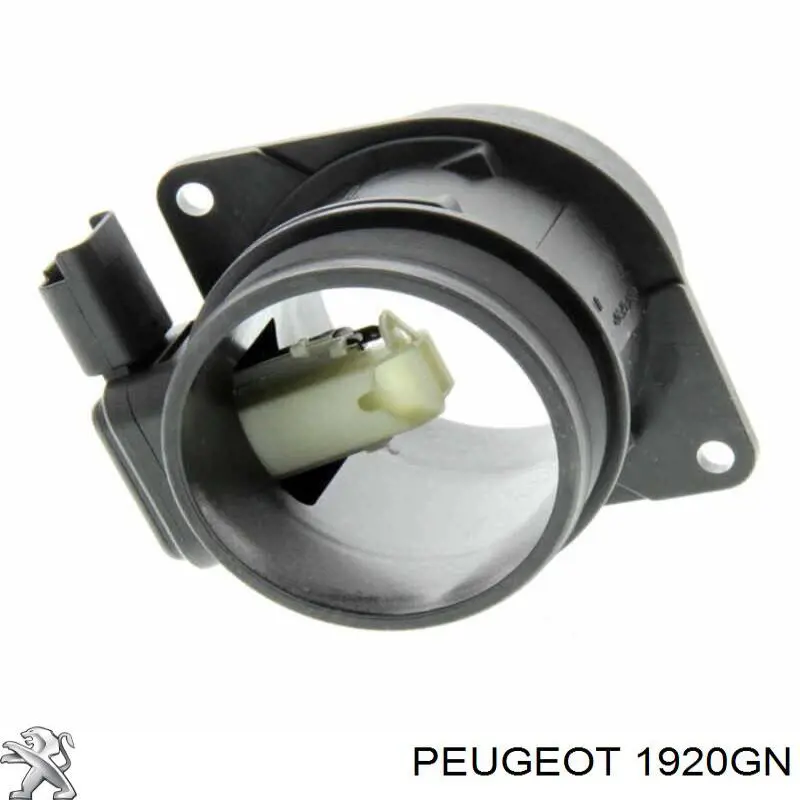1920GN Peugeot/Citroen Sensor de flujo de aire