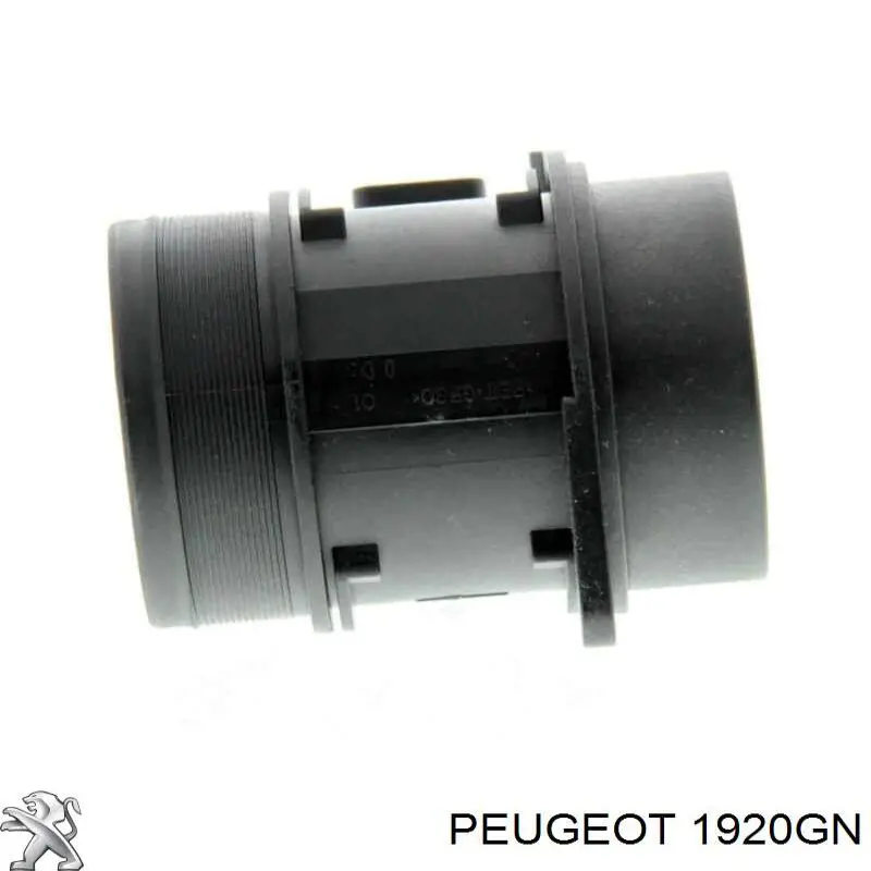Comprar 1920GN Peugeot/Citroen Sensor de masa de aire
