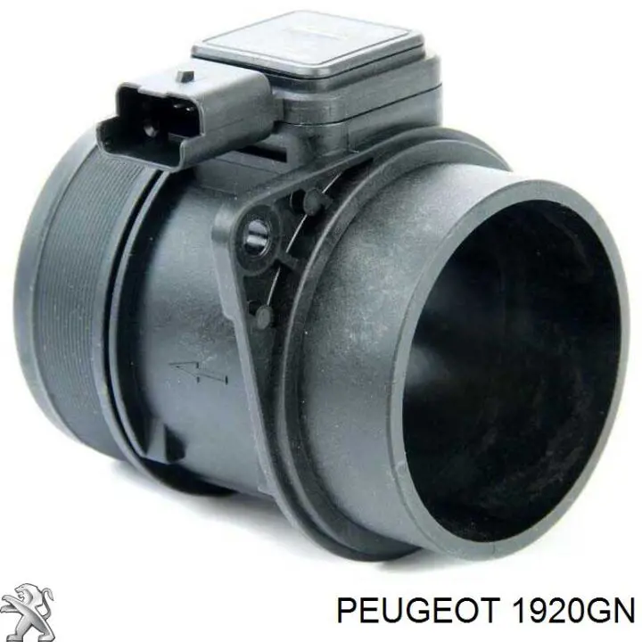 Caudalímetro 1920GN Peugeot/Citroen