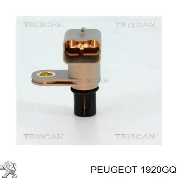 1920GQ Peugeot/Citroen Sensor posición arbol de levas