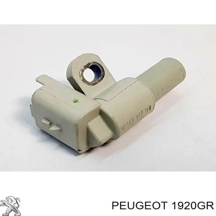 Válvula de control del árbol de levas 1920GR Peugeot/Citroen