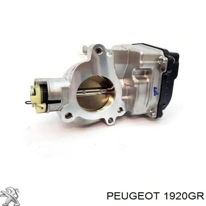 Válvula de control de aceite del árbol de levas Peugeot/Citroen 1920GR