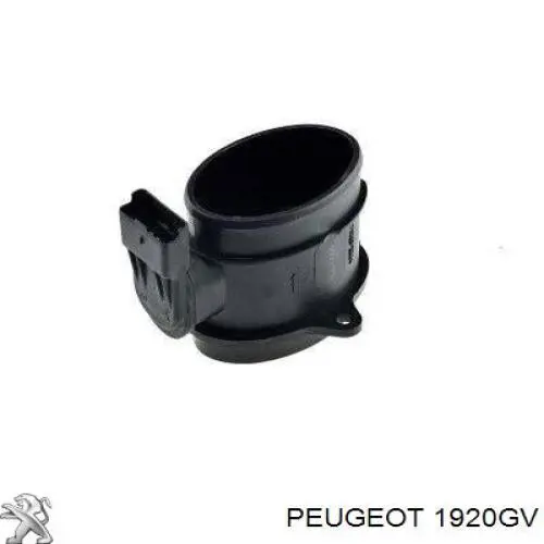 Sensor MAF Peugeot/Citroen 1920GV