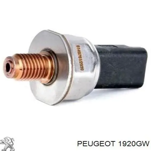 1920GW Peugeot/Citroen regulador de presión de combustible
