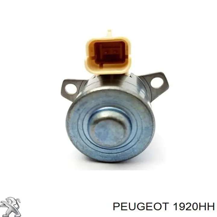 1920HH Peugeot/Citroen medidor de masa de aire