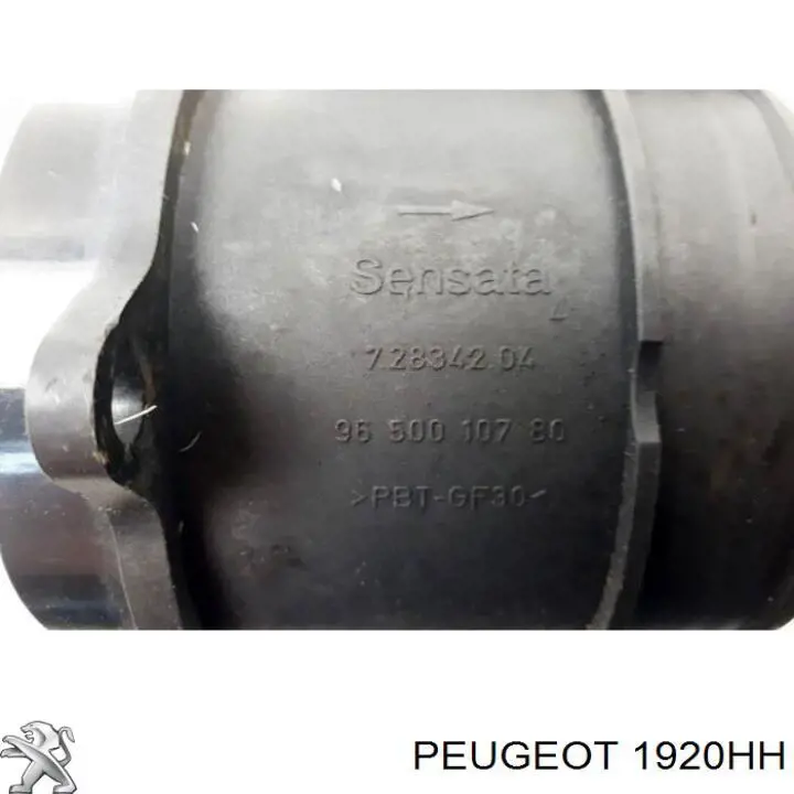 Medidor de flujo de aire Peugeot/Citroen 1920HH precio, desde 50,82 EUR