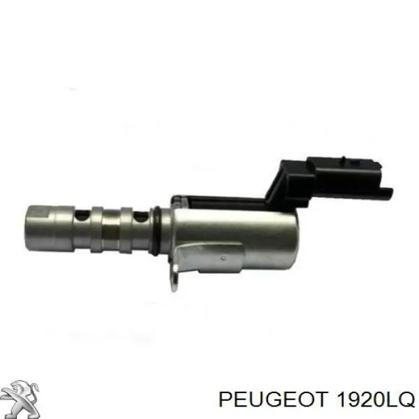 1920LQ Peugeot/Citroen válvula control, ajuste de levas