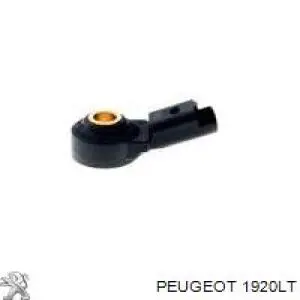 Sensor de detonaciones Peugeot 207 WA, WC