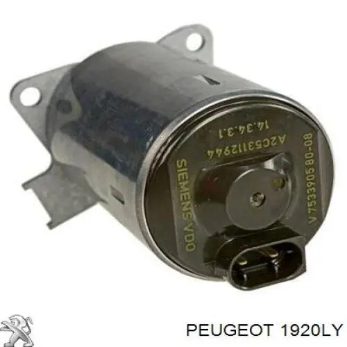 Comprar 00001920LY Peugeot/Citroen Regulador de fase de distribución