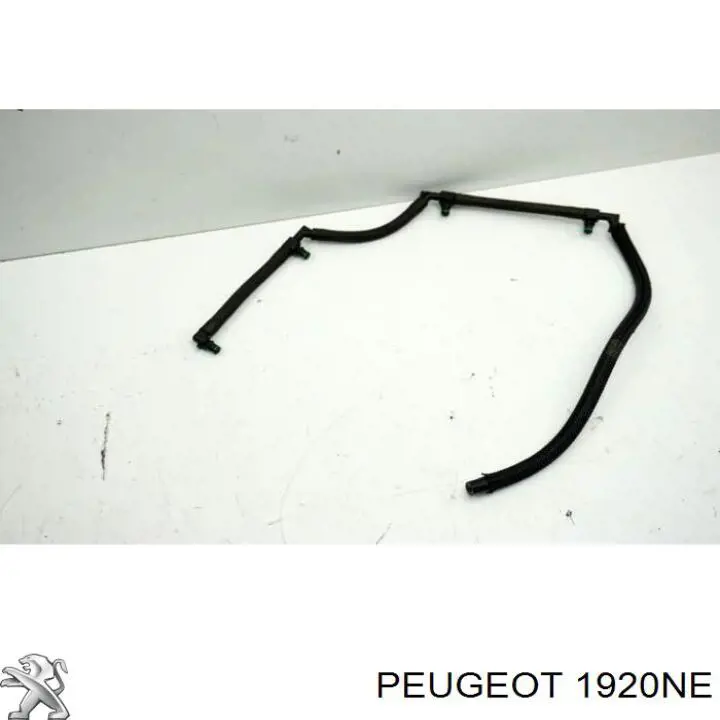 1920NE Peugeot/Citroen Bomba de inyección