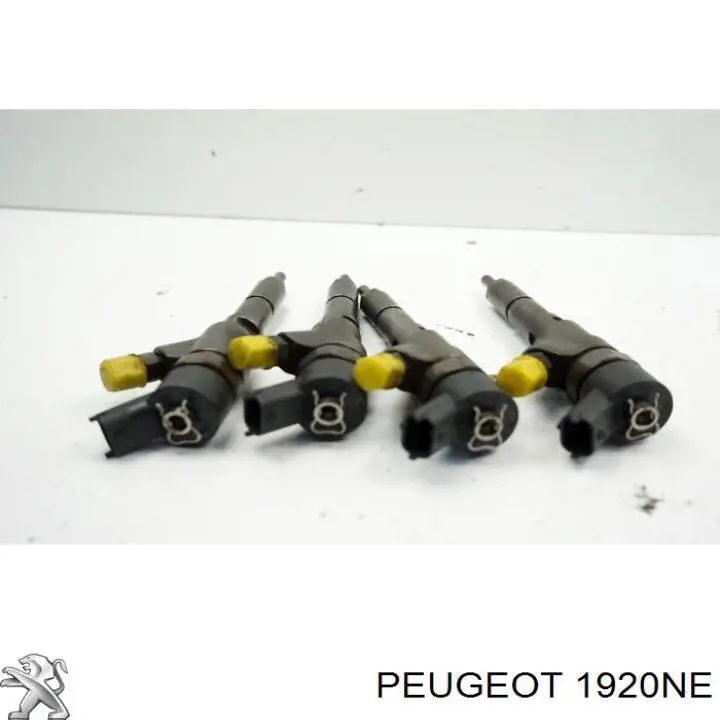 Bomba de alta presión de combustible Peugeot/Citroen 1920NE precio, desde 143,75 EUR
