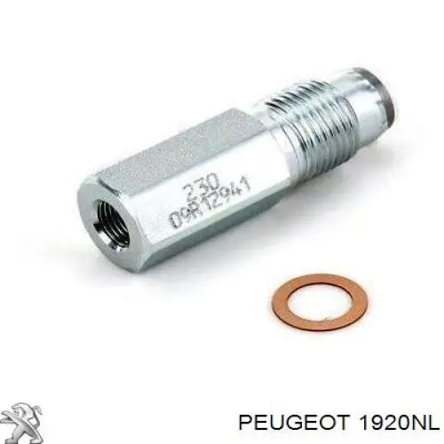 Regulador de presión de combustible Peugeot/Citroen 1920NL precio, desde 56,43 EUR