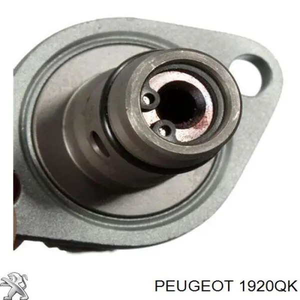Válvula control presión Common-Rail-System Peugeot/Citroen 1920QK