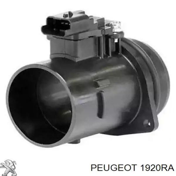 Caudalímetro 1920RA Peugeot/Citroen