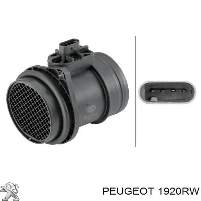 Comprar 1920RW Peugeot/Citroen Sensor de masa de aire