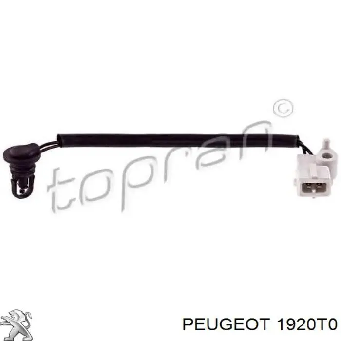 Sensor de temperatura del aire de admisión Peugeot/Citroen 1920T0 precio, desde 29,16 EUR