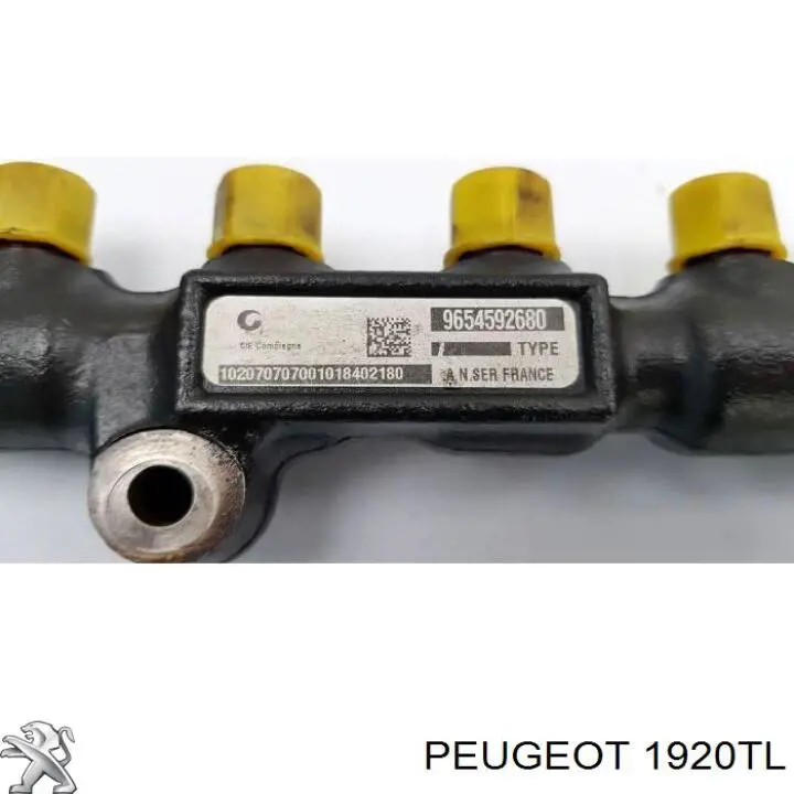 Sensor de la presión del combustible Peugeot/Citroen 1920TL