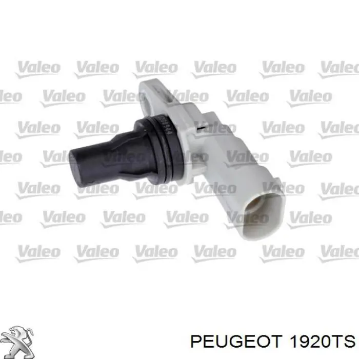 Sensor de posición del árbol de levas Fiat 500 312