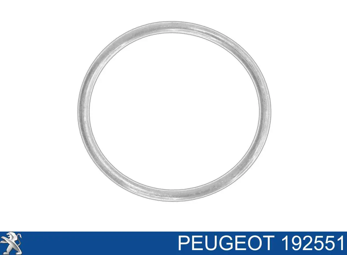 Junta de la bomba de inyección de alta presión Peugeot/Citroen 192551 precio, desde 9,57 EUR