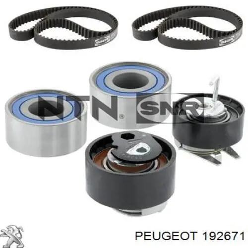 Correa de la bomba de inyección Peugeot/Citroen 192671 precio, desde 39,47 EUR