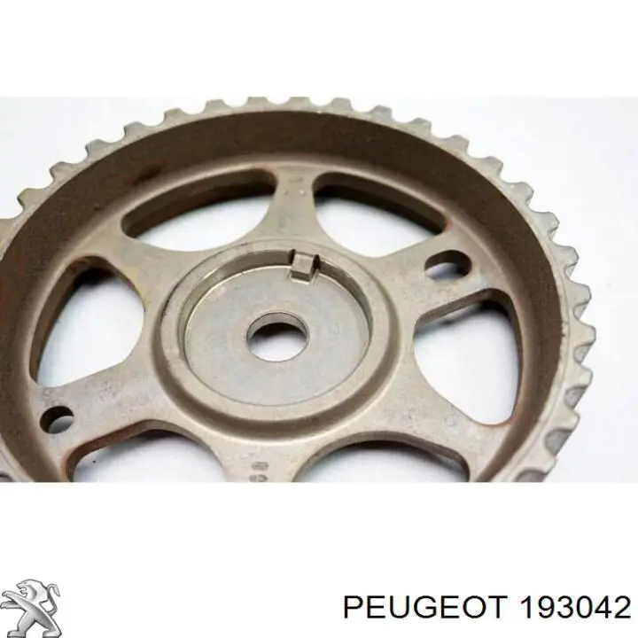  Peugeot/Citroen 193042