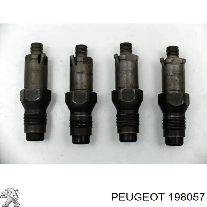 9625169180 Peugeot/Citroen inyector