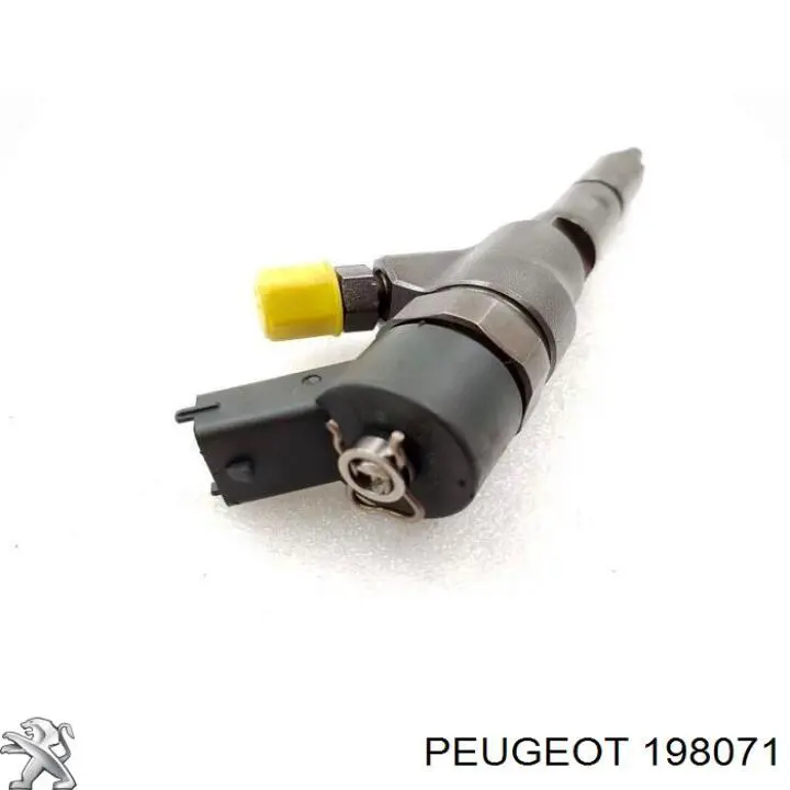 198071 Peugeot/Citroen inyector